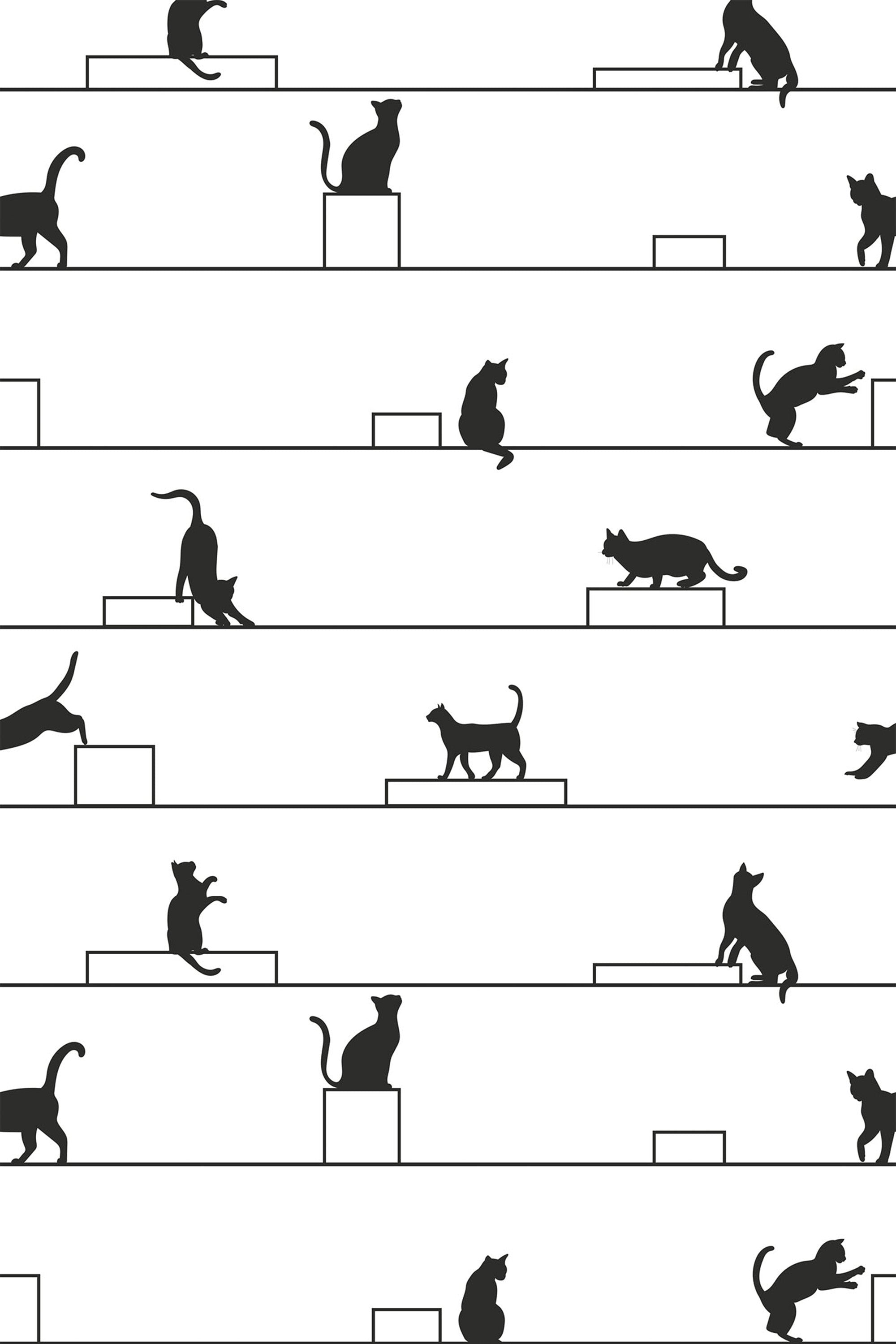 Silhouettes of playful and curious cats in various poses are spaced along horizontal black lines and small rectangular boxes on a white background. Simple and minimalist design with black and white colors, creating a modern and clean look. Peel and stick removable wallpaper.
