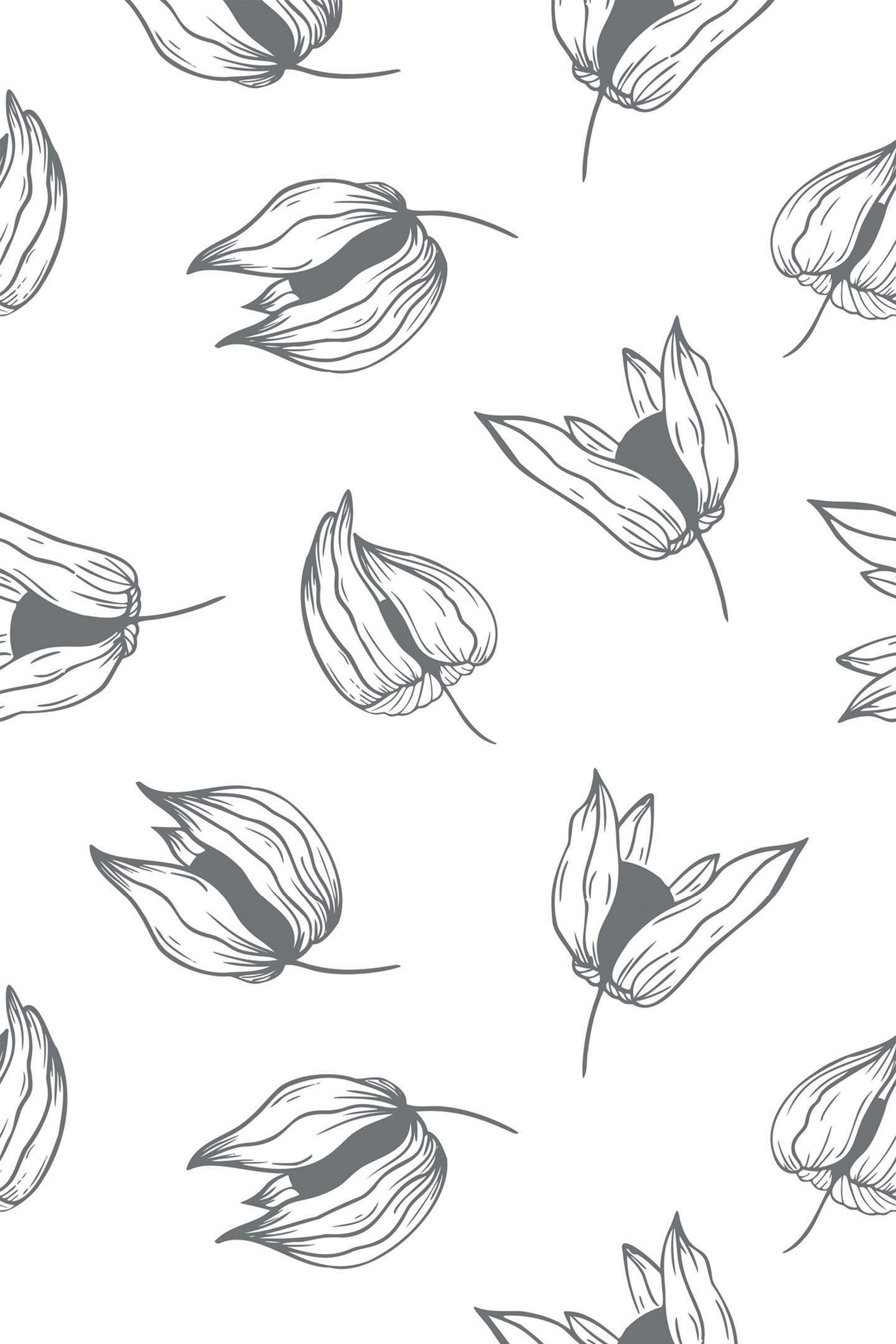 Monochrome design of stylized Physalis plants with delicate, outlined leaves and husks scattered on a clean white background. Peel and stick removable wallpaper.