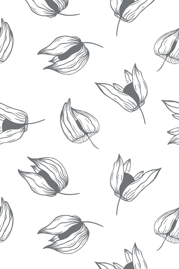 Physalis Wallpaper