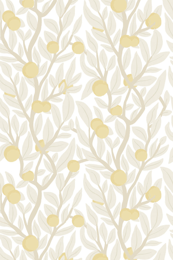 Citrus tree Wallpaper