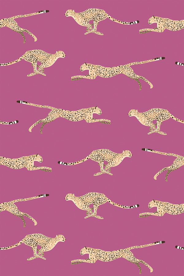 Cheetah Wallpaper