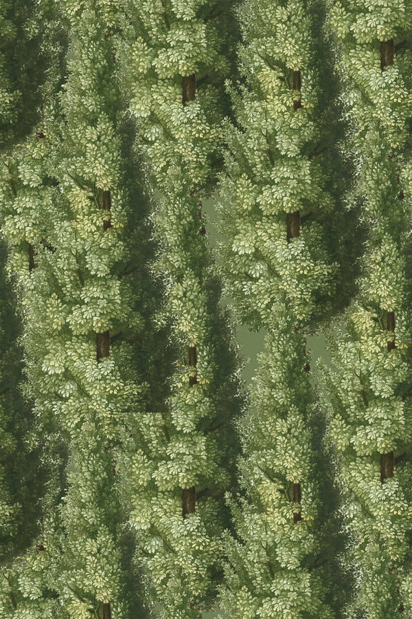 Green bold trees Wallpaper