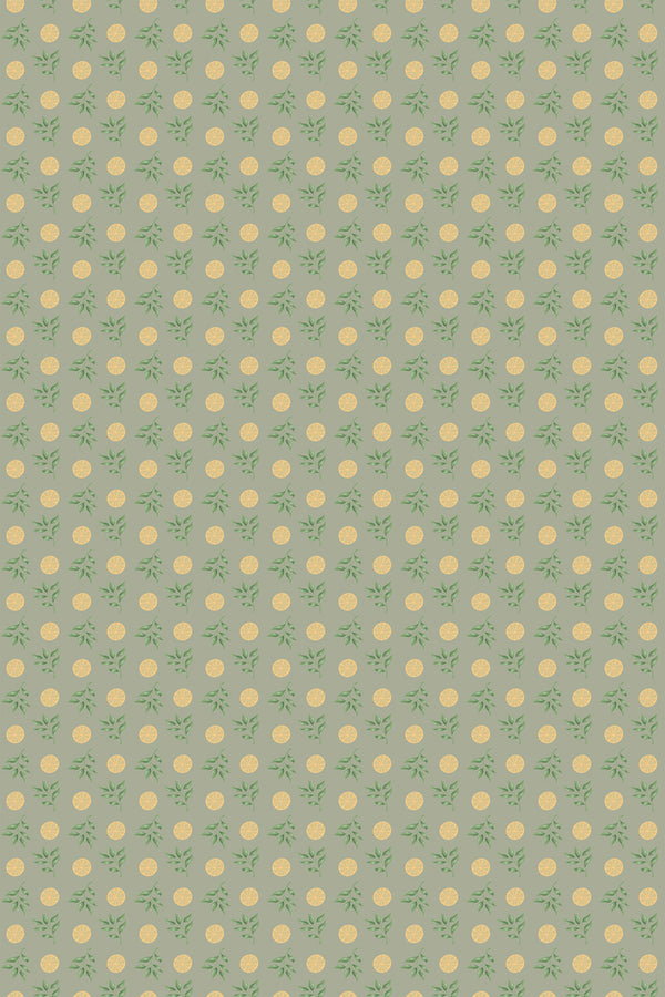 Clementine Wallpaper