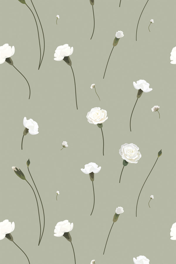 Carnation flowers Wallpaper