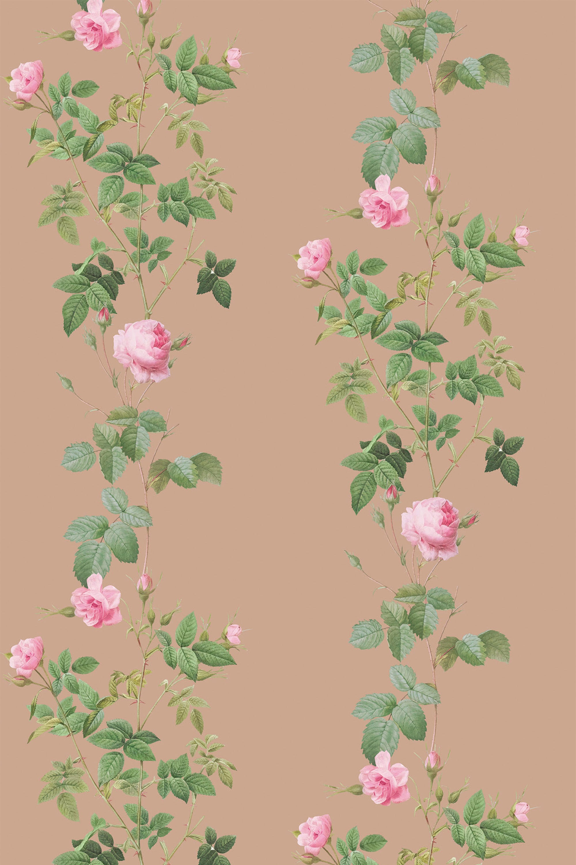 Pink roses with green leaves stretch across vines on a warm beige background, forming a vertical pattern. Peel and stick removable wallpaper.