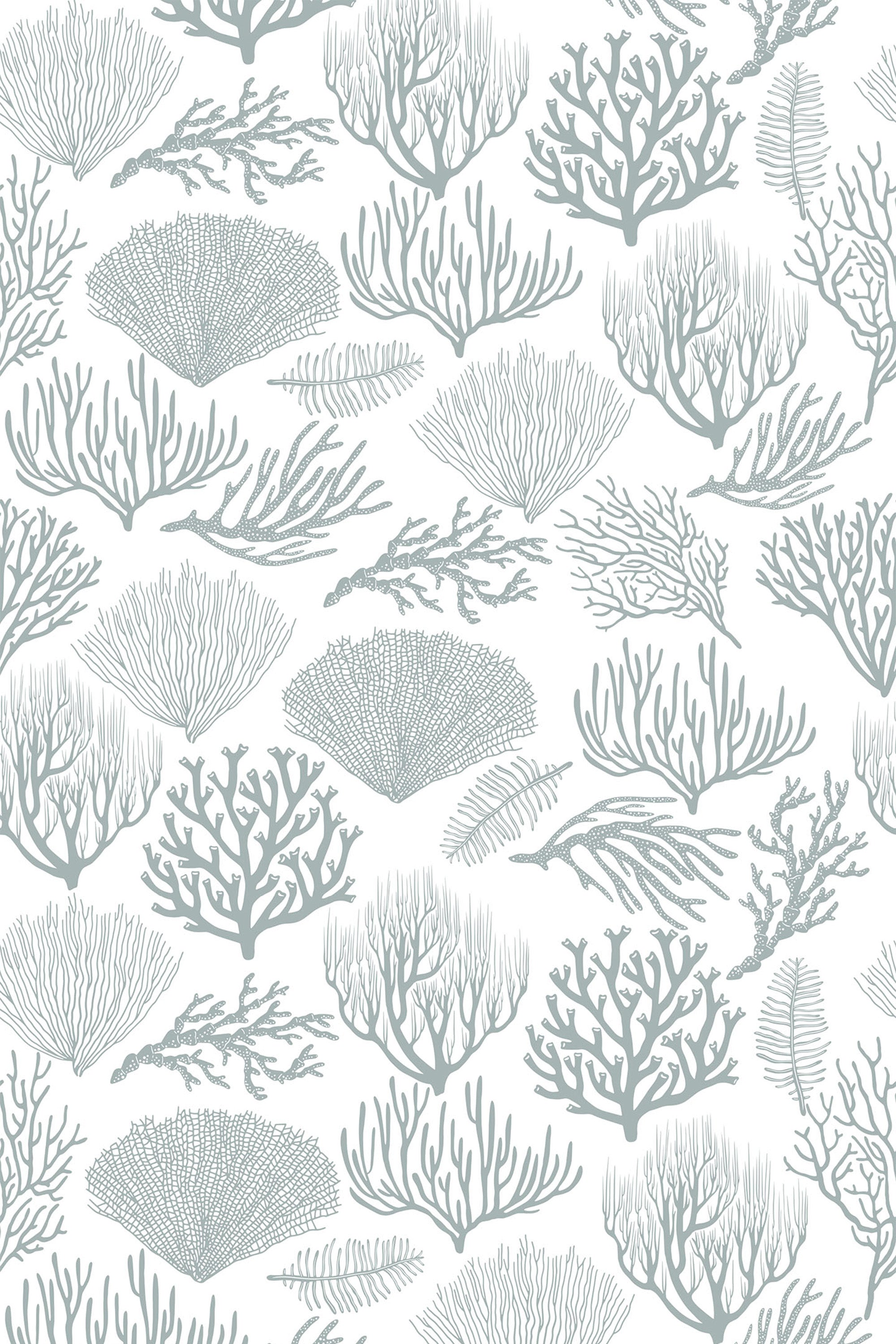 Greenish-gray coral and seaweed motifs evenly spread across a white background, creating a nature-inspired, coastal theme. Peel and stick removable wallpaper.