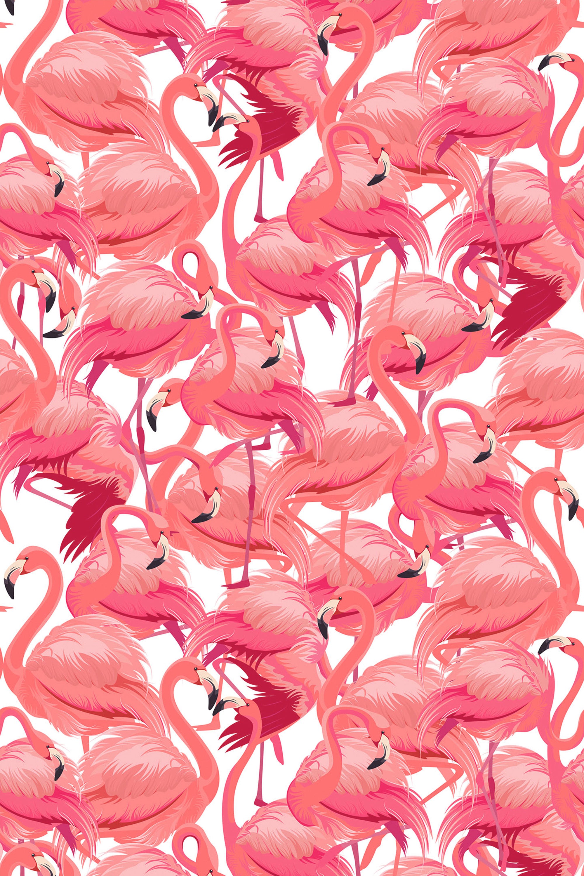 Flamingo-themed wallpaper with a dense pattern of stylized pink flamingos standing and preening, set against a white background. Peel and stick removable wallpaper.