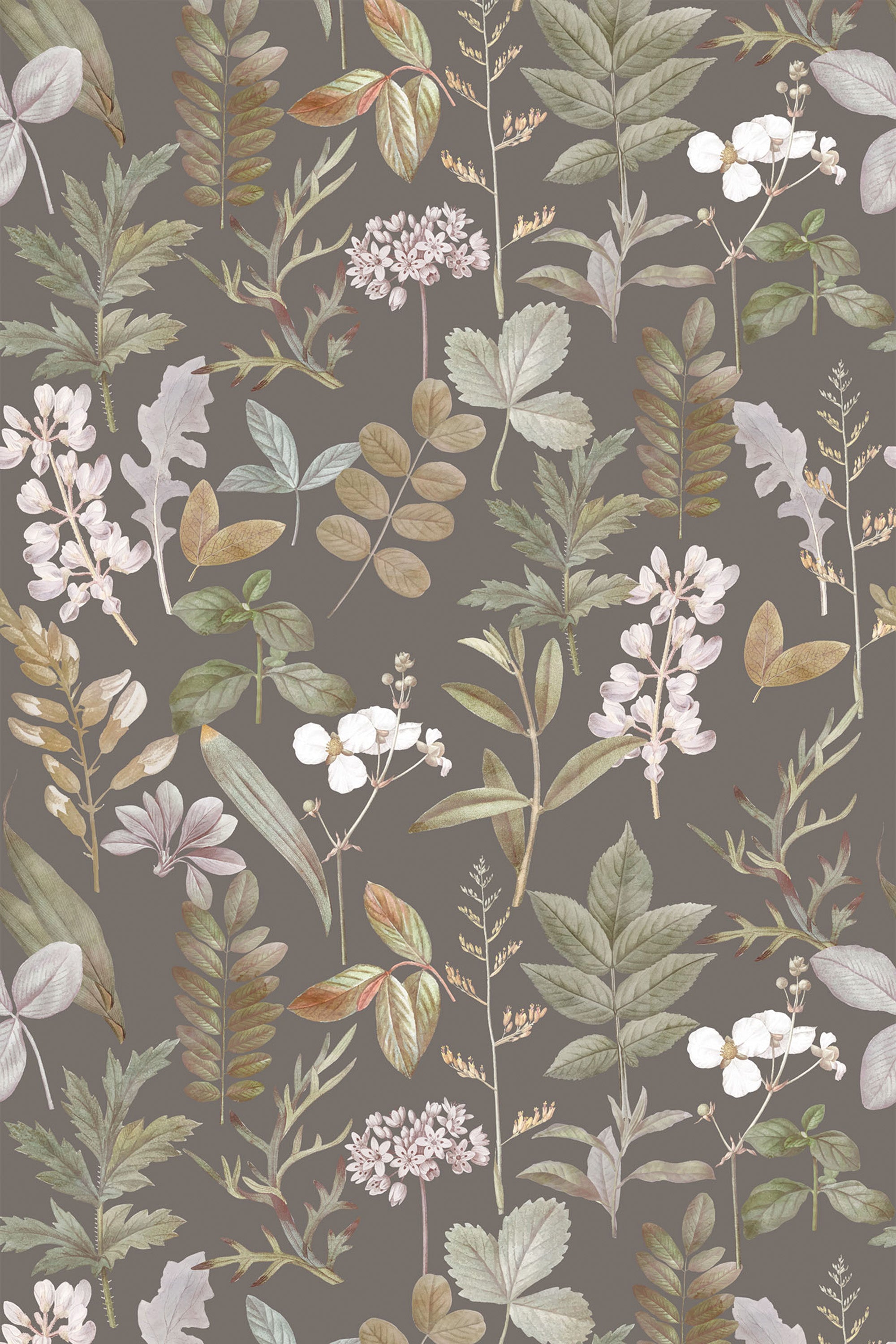 A seamless pattern with various soft, muted green, beige, and cream leaves and botanical elements on a dark background. The delicate foliage creates an elegant and natural design for peel and stick removable wallpaper.