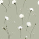 Carnation flowers Wallpaper